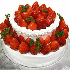 バースデーケーキ(2段)